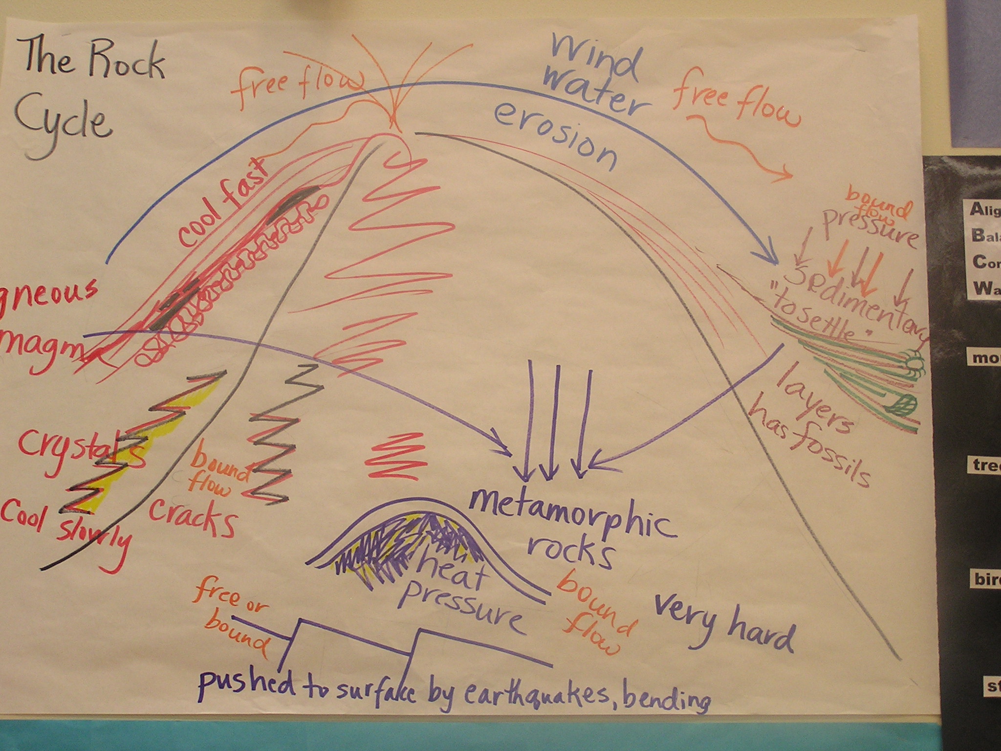 The cycle of sedimentary, metamorphic & igneous rock formation